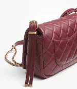 CHANEL / SMALL FLAP BAG Lambskin & Gold-Tone Metal Dark Brown Ref.  AS4353 B13826 NN271 - 图片 3