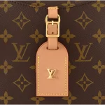 Louis Vuitton / LV Odéon MM M45355 - 图片 7