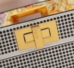 FENDI Iseeu Clip bag size:33* 24.5cm/ 24 *20cm - 图片 5