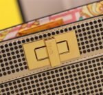 FENDI Iseeu Clip bag size:33* 24.5cm/ 24 *20cm - 图片 8