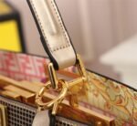 FENDI Iseeu Clip bag size:33* 24.5cm/ 24 *20cm - 图片 6