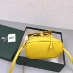 Goyard goyardalpin mini backpack yellow Size: 8.5*18.5*21.5cm - 图片 5