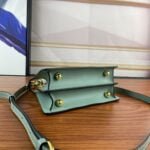 FENDI PeekaboolseeuPetite  0778  size: 20*15.5*11CM - 图片 7