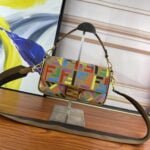 FENDI Baguette Rainbow F embroidery colors shoulderbag F2029 Size: 26*5*15CM