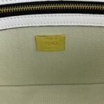 FENDI Baguette Rainbow F embroidery colors shoulderbag F2029 Size: 26*5*15CM - 图片 6