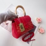 Goyard mini Saigon Red Saddle bag Size:22*8*15cm - 图片 4