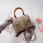 Goyard mini Saigon Cream White Saddle bag Size:22*8*15cm - 图片 2