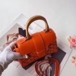 Goyard mini Saigon Orange Saddle bag Size:22*8*15cm - 图片 2
