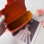 Goyard mini Saigon Orange Saddle bag Size:22*8*15cm - 图片 8