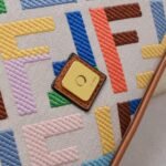 FENDI baguette bag Colorful rainbow F embroidery colors F2029 SIZE:26*5*15CM - 图片 4