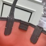 Goyard mini Earl handbag size: 20* 19* 10cm - 图片 5