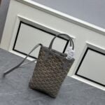 Goyard mini Earl handbag size: 20* 19* 10cm