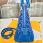 goyard Goya vendme shell bag - 图片 6