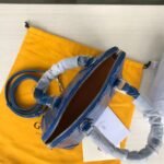 goyard Goya vendme shell bag - 图片 7