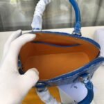 goyard Goya vendme shell bag - 图片 8