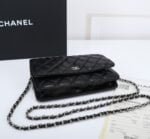 Chanel woc Classic Fortune Crossbody bag with sliver hardware Size: W19*H12*D4cm - 图片 3