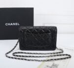 Chanel woc Classic Fortune Crossbody bag with sliver hardware Size: W19*H12*D4cm - 图片 4