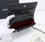 Chanel woc Classic Fortune Crossbody bag with sliver hardware Size: W19*H12*D4cm - 图片 6