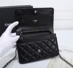 Chanel woc Classic Fortune Crossbody bag with sliver hardware Size: W19*H12*D4cm - 图片 7