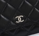 Chanel woc Classic Fortune Crossbody bag with sliver hardware Size: W19*H12*D4cm - 图片 8