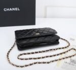Chanel woc Classic Fortune Crossbody bag with gold hardware Size: W19*H12*D4cm - 图片 3