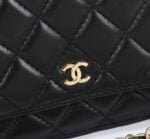 Chanel woc Classic Fortune Crossbody bag with gold hardware Size: W19*H12*D4cm - 图片 5