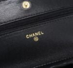 Chanel woc Classic Fortune Crossbody bag with gold hardware Size: W19*H12*D4cm - 图片 6