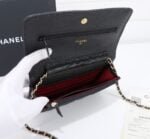 Chanel woc Classic Fortune Crossbody bag caviar with gold hardware Size: W19*H12*D4cm - 图片 9