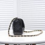 Chanel Lamb skin chain crossbody bag with gold hardware 1116 SIZE: 20*14*7cm/25.5*16*6.5cm/30*18*8cm - 图片 7