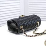 Chanel Lamb skin chain crossbody bag with gold hardware 1116 SIZE: 20*14*7cm/25.5*16*6.5cm/30*18*8cm - 图片 8