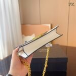 Prada Monochrome Chain bag 5 colors size: 21*4*14cm - 图片 9