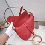 Dior saddle leather with Spaghetti straps red size: 25.5 *20 * 6.5cm - 图片 2