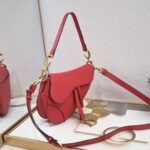 Dior saddle leather with Spaghetti straps red size: 25.5 *20 * 6.5cm - 图片 6