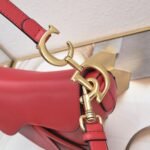 Dior saddle leather with Spaghetti straps red size: 25.5 *20 * 6.5cm - 图片 9