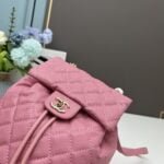 Chanel 23s Salzburg cowhide backpack 917 pink size: 25*20*12cm/23*18*10cm - 图片 6