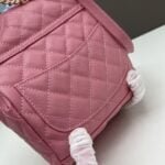 Chanel 23s Salzburg cowhide backpack 917 pink size: 25*20*12cm/23*18*10cm - 图片 3