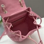Chanel 23s Salzburg cowhide backpack 917 pink size: 25*20*12cm/23*18*10cm - 图片 8