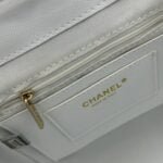 Chanel 23s Salzburg cowhide backpack 917 White size: 25*20*12cm/23*18*10cm - 图片 5