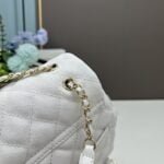 Chanel 23s Salzburg cowhide backpack 917 White size: 25*20*12cm/23*18*10cm - 图片 7