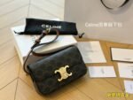 CELINE TRIOMPHE Presbyopia pattern Crossbody bag Black size: 19*15cm