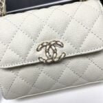 Chanel Black Horse Kelly Lichee cowhide long handle bag 9100 white size:19*10*4.5cm - 图片 2