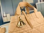 Dior  toujours Handbag 2822 size: 23* 14 * 12 cm - 图片 5