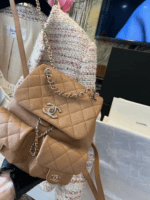 Chanel 23p duma backpack size:21x20cm - 图片 2